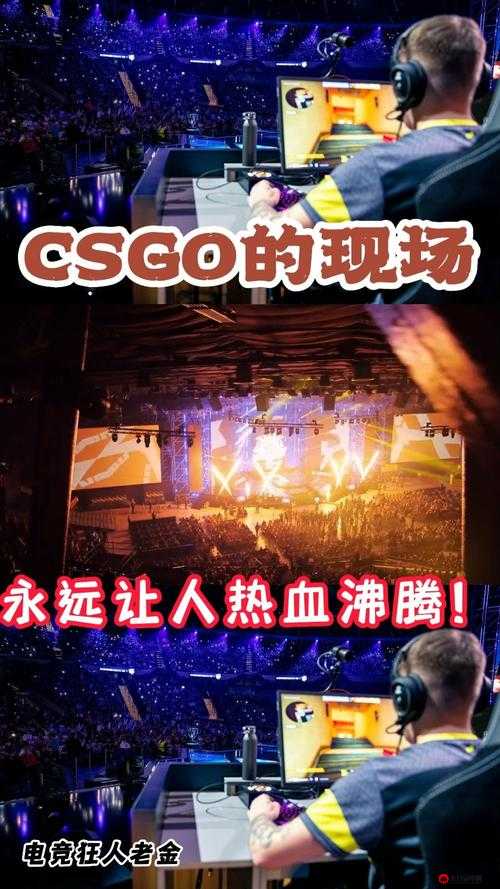 CSGO 暴躁狂人高清大片：热血激战震撼来袭