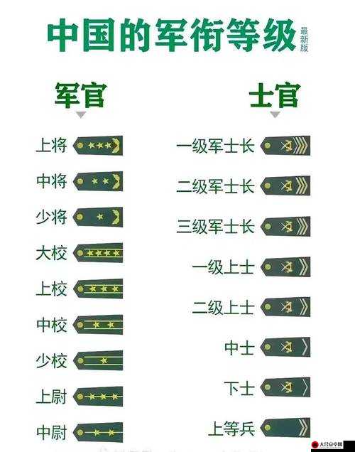 全面解析军衔系统，等级划分、晋升条件及福利待遇资料介绍